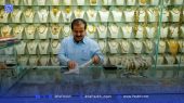 قیمت طلا و سکه امروز سه شنبه ۱۱ شهریور؛ بازار ورود طلا به کانال ۹ میلیون با افزایش سنگین انس جهانی 