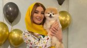 بیوگرافی متین ستوده و همه شوهران 