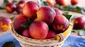 مصرف این میوه سبب افزایش متابولیسم بدن و لاغری می‌شود