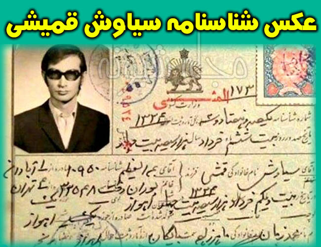 شناسنامه سیاوش قمیشی خواننده