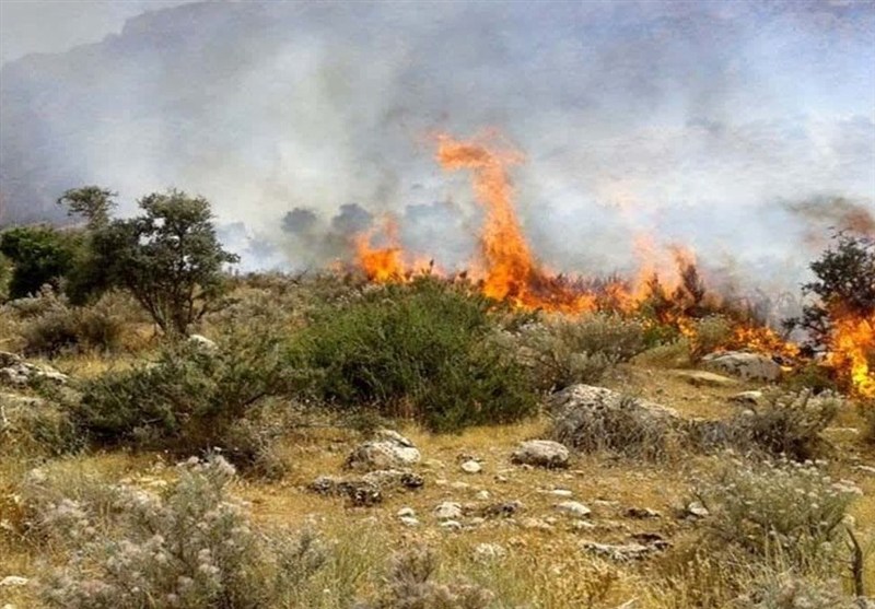 ابر آرام گرفت؛ روایت فروکش‌کردن آتش با موج همیاری مردمی