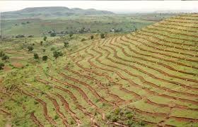 نمایی از کشاورزی پله ای یا تراس بندی زمین در یک منطقه کوهستانی نمایی از کشاورزی پله ای یا تراس بندی زمین در یک منطقه کوهستانی