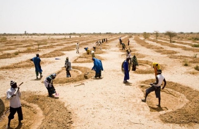 چاله زایی یا نیم ماه روی زمین برای جمع آوری آب چاله زایی یا نیم ماه روی زمین برای جمع آوری آب