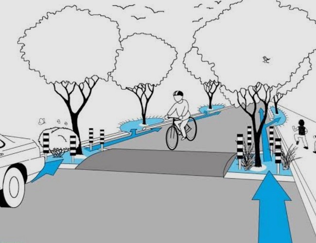 فضای سبز با درختان وگیاهان و مسیر آب فضای سبز با درختان وگیاهان و مسیر آب