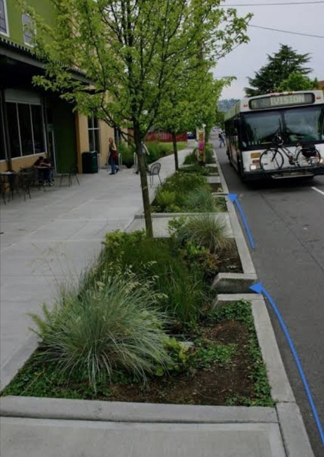 انتقال آب باران به کمک بریدگی جدول کنار خیابان انتقال آب باران به کمک بریدگی جدول کنار خیابان