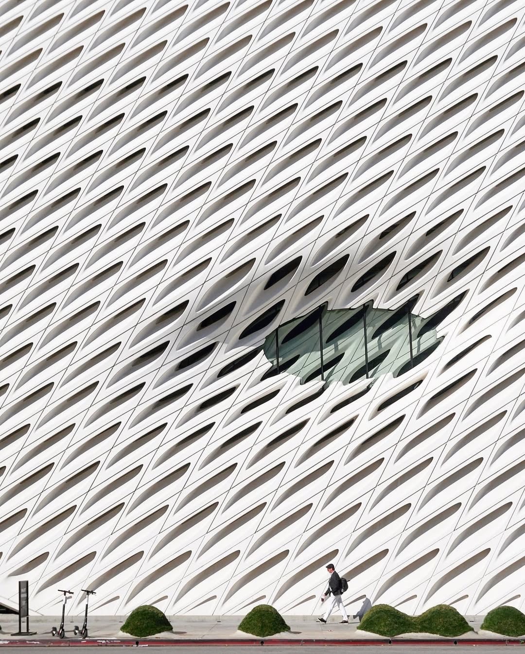 موزه هنر برود موزه هنر برود