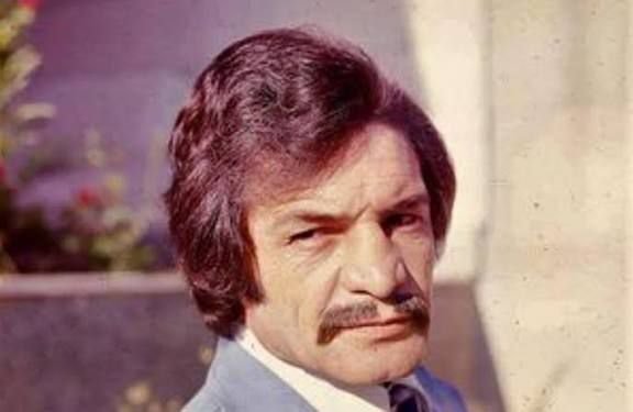 رضا بیک ایمانوردی