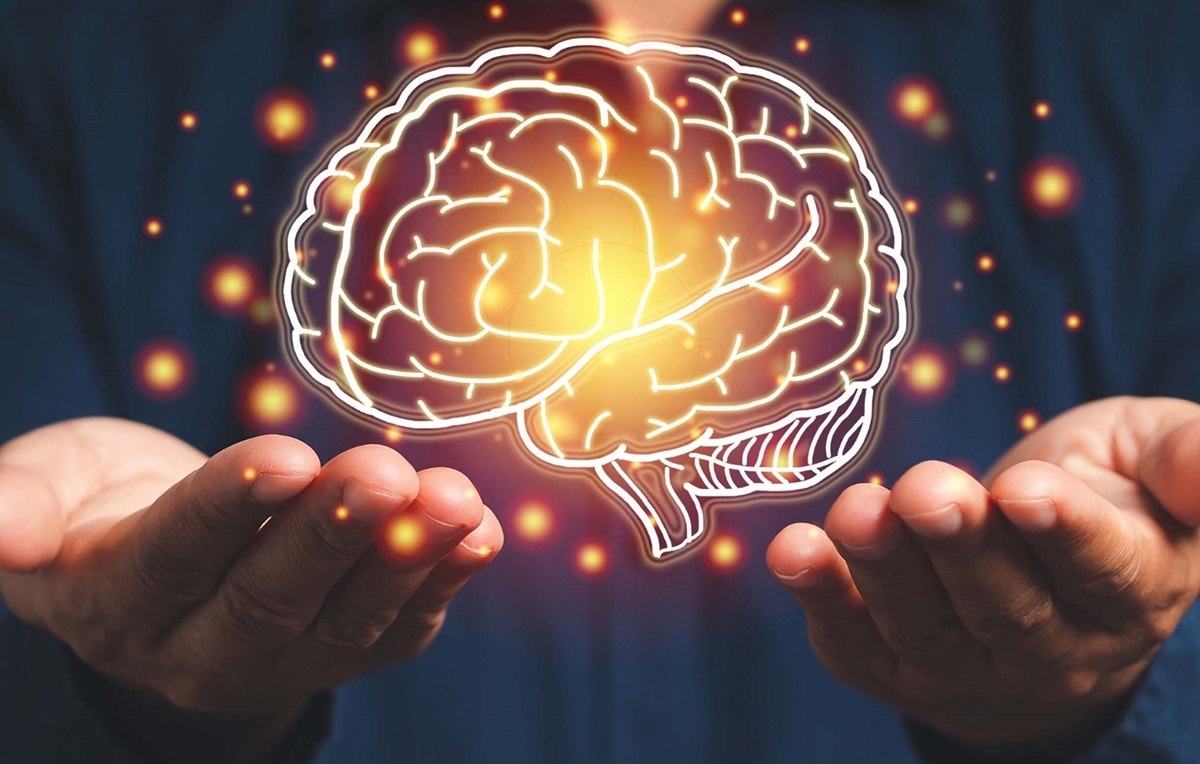 کشف ۵ دوره کلیدی بازآرایی مغز از تولد تا پیری که نحوه تفکر ما را شکل می‌دهد!