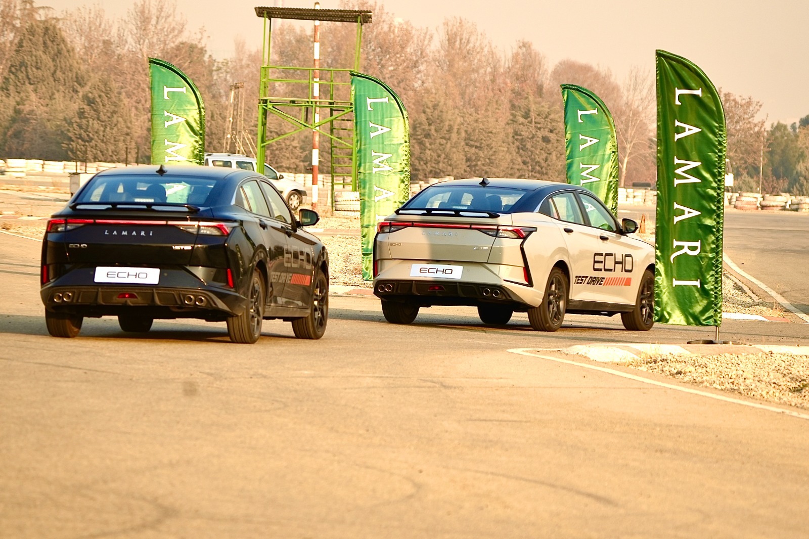 لاماری لاماری