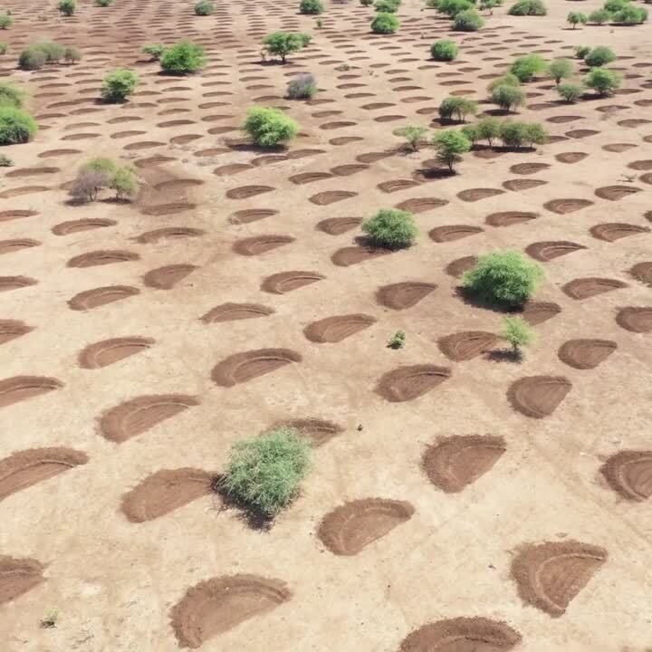 قبل از باران چاله بکَنید ؛ این یک تجربه مهم جهانی است (+تصاویر) قبل از باران چاله بکَنید ؛ این یک تجربه مهم جهانی است (+تصاویر)