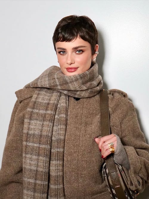 شباهت تیلور و آدری