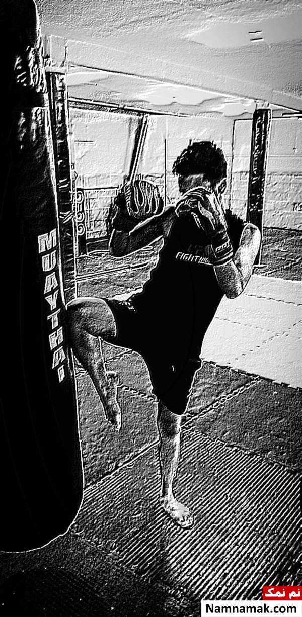 بیوگرافی امین خسروی