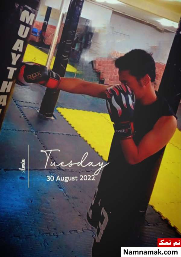 بیوگرافی امین خسروی