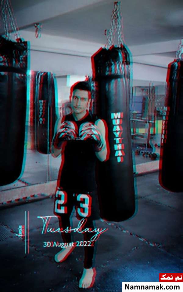 بیوگرافی امین خسروی