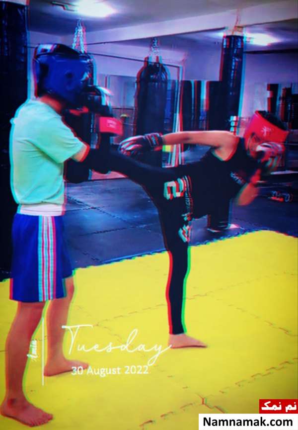 بیوگرافی امین خسروی