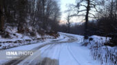 بارش برف پاییزی در ۲۰ روستای لاریجان؛ طبیعت کوهستانی مازندران سفیدپوش شد!