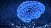 کشف ۴ نقطه عطف شگفت‌انگیز در روند پیر شدن مغز انسان!