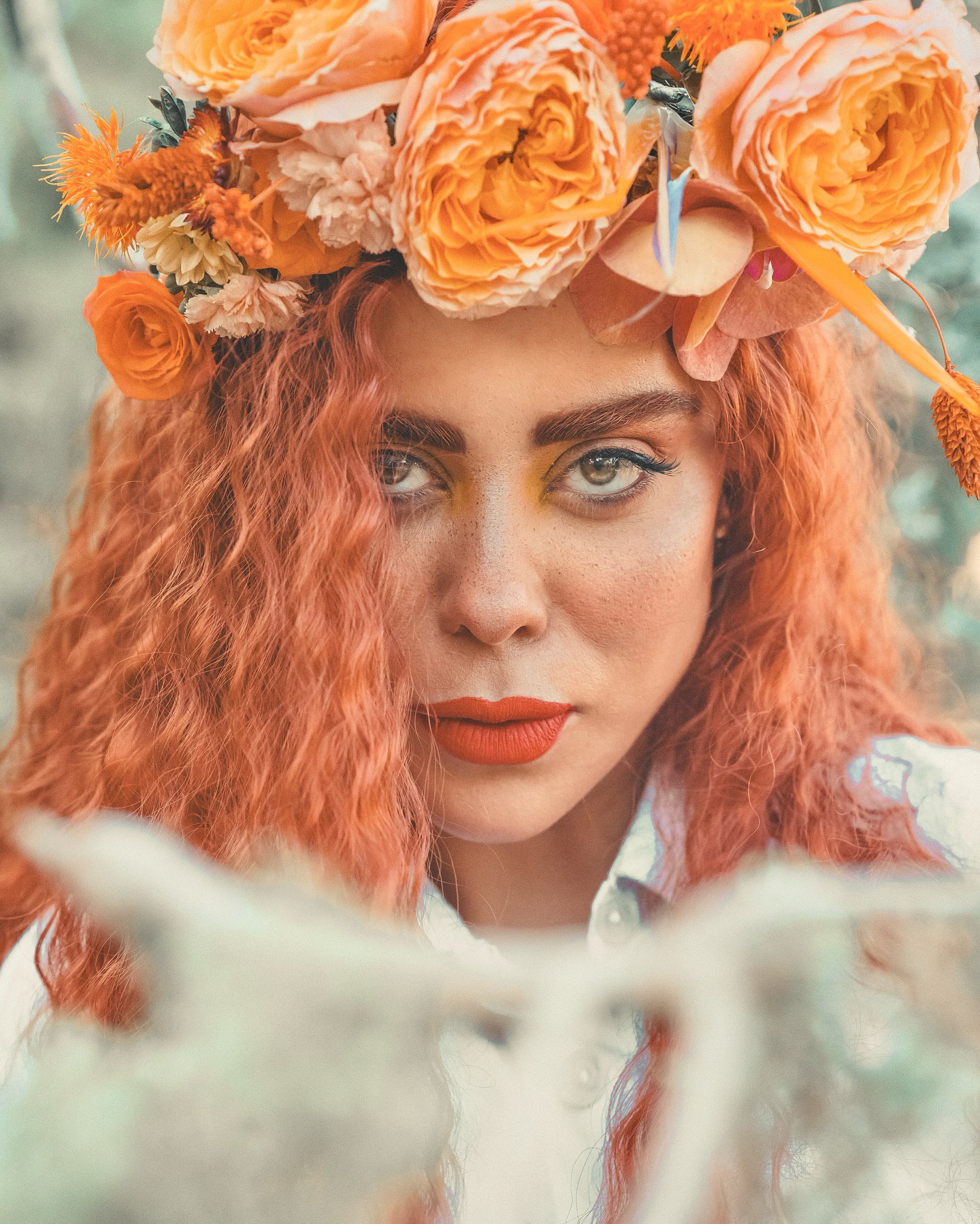 الهام اخوان