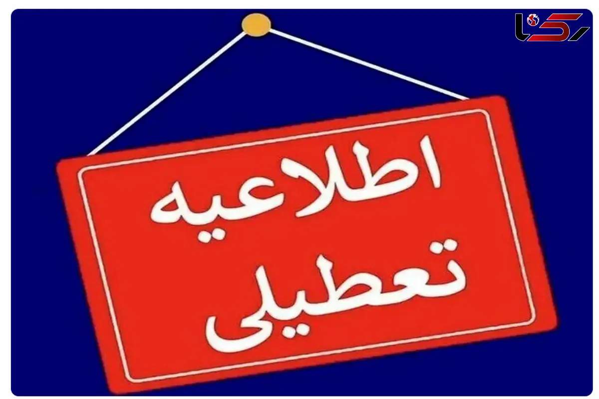 تعطیلی مدارس و دانشگاه‌های تهران فردا به دلیل آلودگی هوا؛ دورکاری ادارات هم اعلام شد