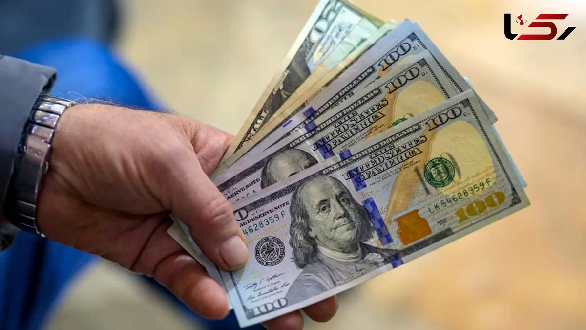 جدال دولت و مجلس بالا گرفت؛ ارز ترجیحی در آستانه حذف