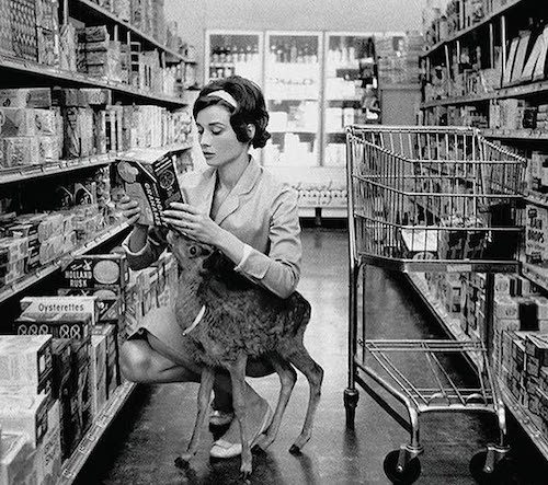 آدری هپبورن و آهویش