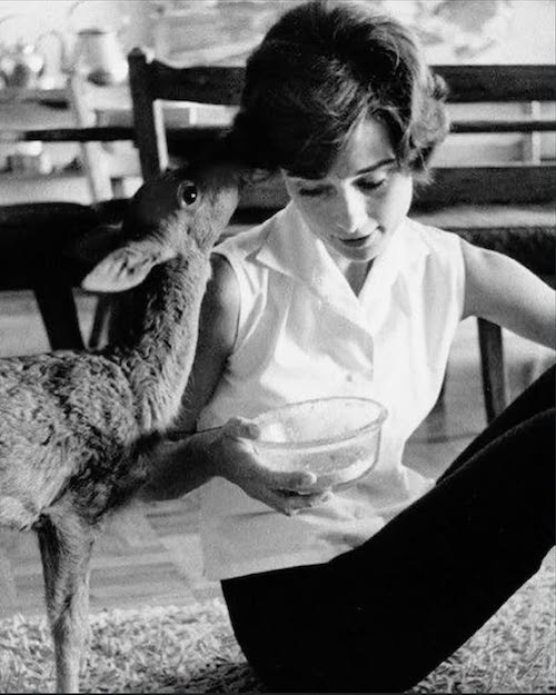 آدری هپبورن و آهویش