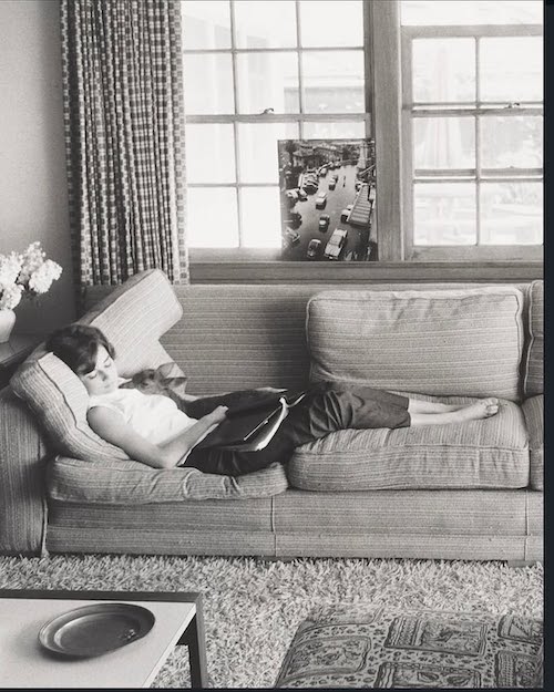 آدری هپبورن و آهویش