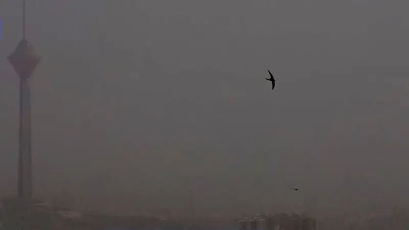 تنفس هوای خطرناک در تهران / وضعیت بحرانی آسمان پایتخت از شمال تا جنوب 