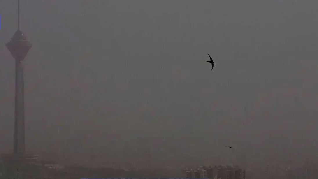 تتفس هوای ناسالم در همه مناطق تهران/ احتمال تعطیلی ادارات