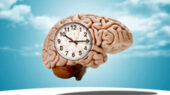 حقایقی شگفت‌انگیز درباره رشد مغز: چرا بلوغ مغز تا ۳۲ سالگی ادامه دارد؟