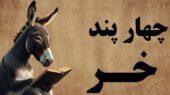 حکایت‌های بامزه طنز / داستان شنیدنی 4 پند خر و شغال