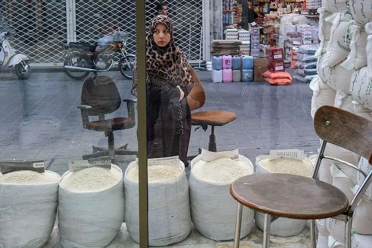 حذف ارز ترجیحی برنج؛ آیا کالابرگ‌ها سفره‌ها را خالی کردند؟