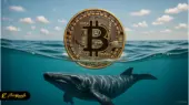 نهنگ های بیت کوین ۲۶۰۰ واحد از بایننس خارج کردند