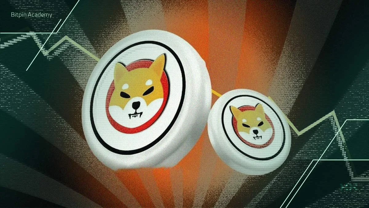 ترسیم ۴ سناریوی صعودی برای شیبا (SHIB) توسط تحلیلگر مشهور