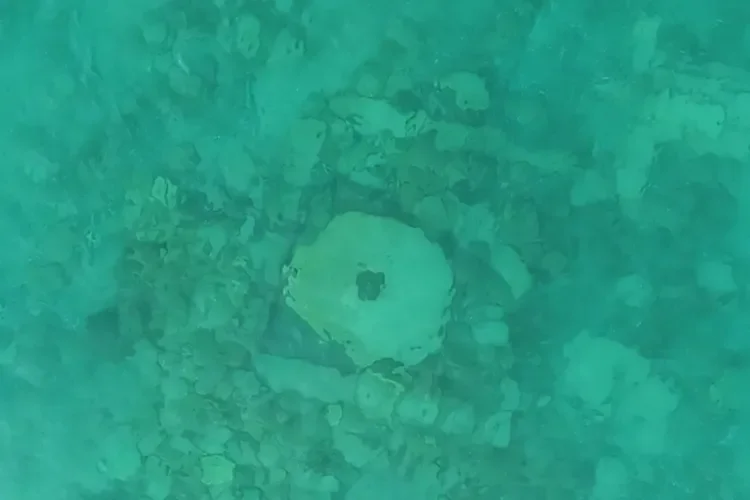 0901-6918231c6d64c1c6d9597bf4_11zon