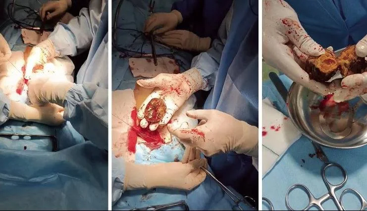 11674667-733c-40a0-a09d-7fbc0c2b3ed7