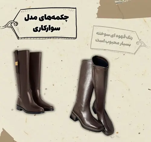 کفشهای همیشگی