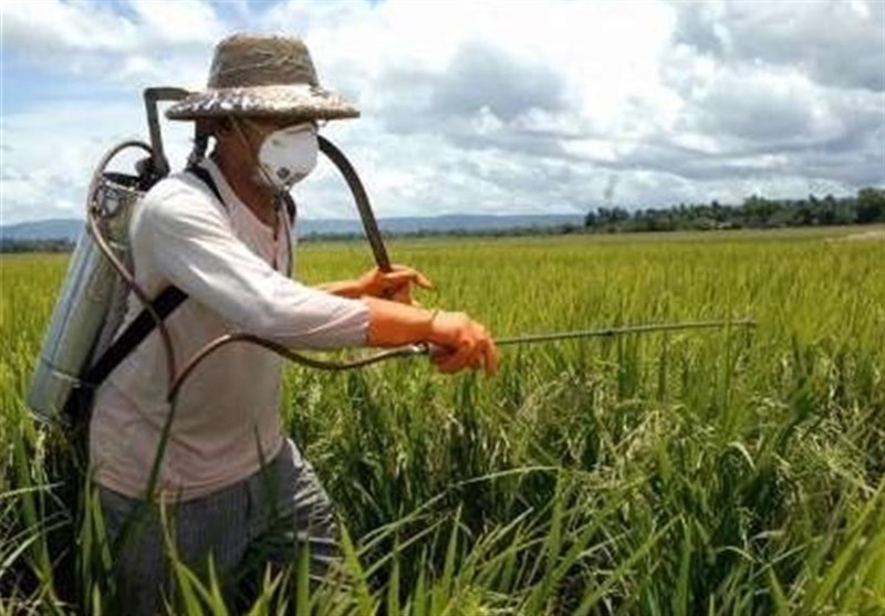 هشدار اجرای مبارزه پاییزه برای کنترل آفات