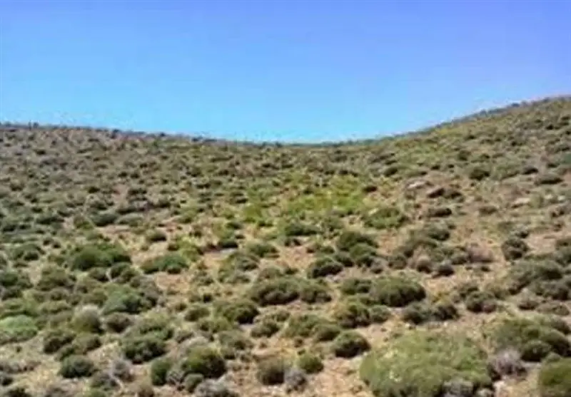 چین چگونه بیابان‌زایی را مهار کرد؟