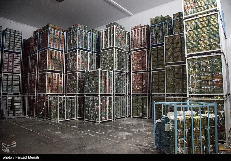 اخبار استان مرکزی , 