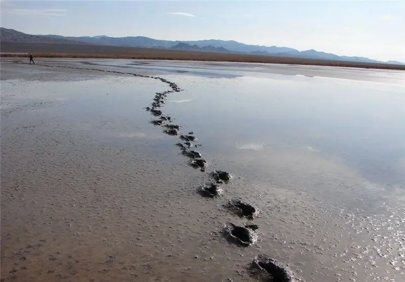 اخبار شهرستان نهبندان , اخبار استان خراسان جنوبی , 