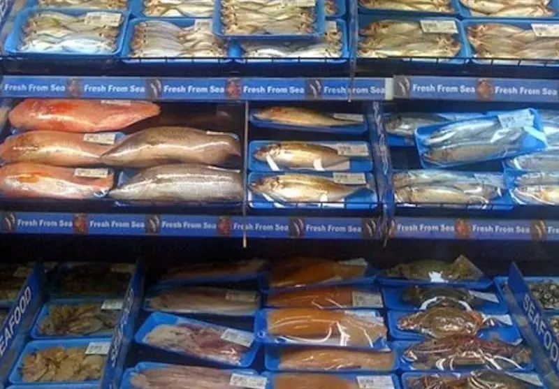 آغاز چهارمین نمایشگاه ملی صنایع شیلاتی بوشهر؛ فرصتی طلایی برای اقتصاد دریامحور