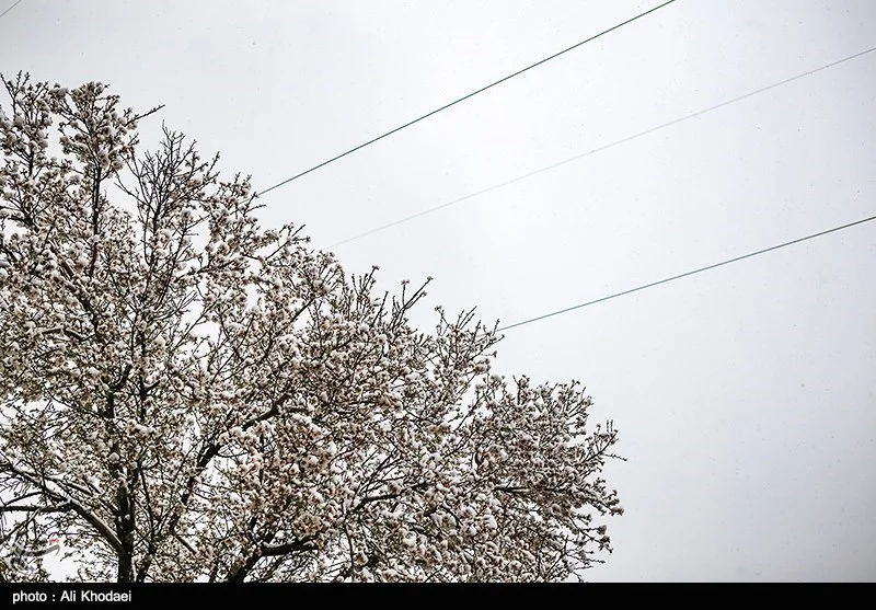 هشدار یخبندان در اصفهان؛ دمای هوا تا 8 درجه سقوط می‌کند!