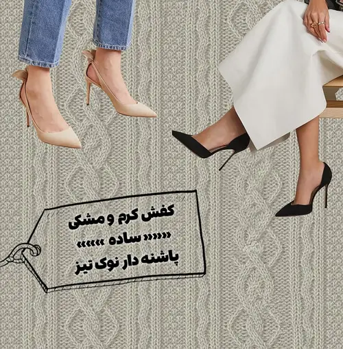 کفشهای همیشگی