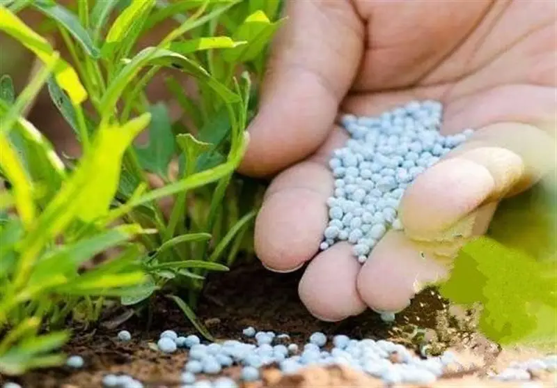 چگونه تغییرات اقلیمی، تهدیدی جدی برای امنیت غذایی جهان است؟