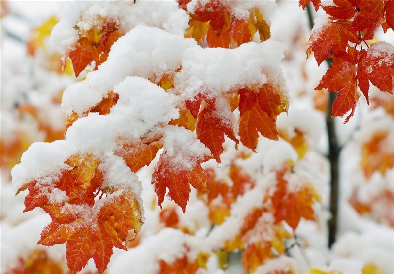 باران و برف شدید امروز در ۱۹ استان ایران؛ هشدار هواشناسی جدی شد!