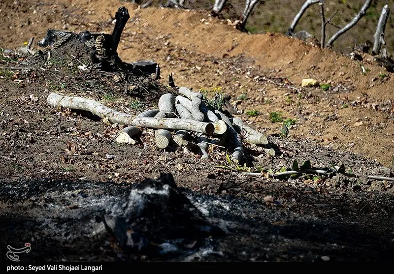 اخبار استان مازندران , اخبار ساری ,