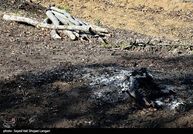 اخبار استان مازندران , اخبار ساری ,