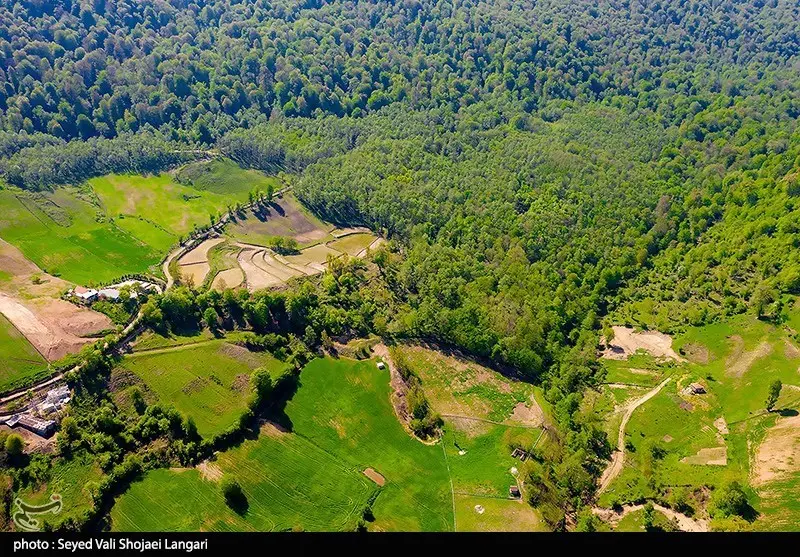 قاچاق , اخبار استان گلستان , اخبار شمال , جنگل های هیرکانی , جنگل , نظام مسائل استان گلستان , 