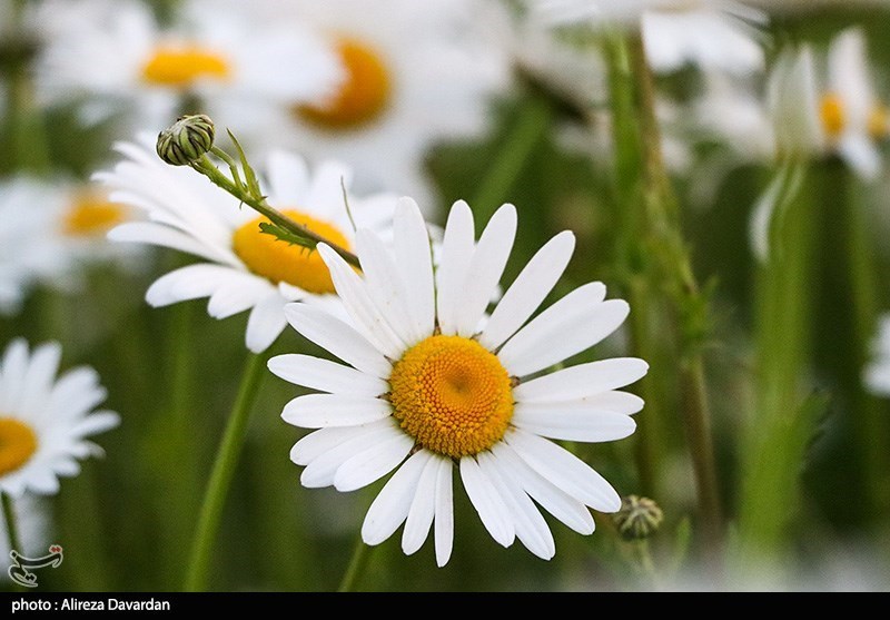 در روزگار سخت، بخشش واقعی چه قیمت دارد؟ راز ایثاری که اقتصاد نمی‌شناسد!